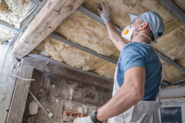 Best Cellulose Insulation in Union Springs, NY